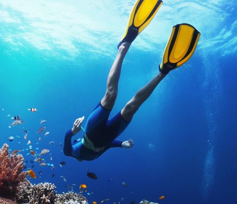 Taucherin schwimmt zwischen bunten Korallenriffen im klaren blauen Meer