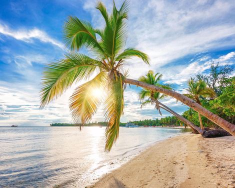 Kreuzfahrt mit MSC Opera ab/an La Romana inkl. Rundreise in der Dom. Rep.-0