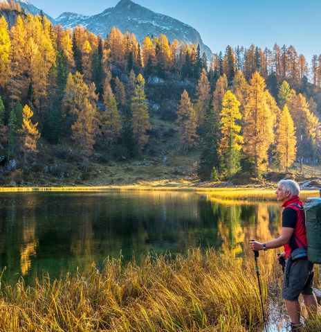 Mann beim Wandern am See im Wald