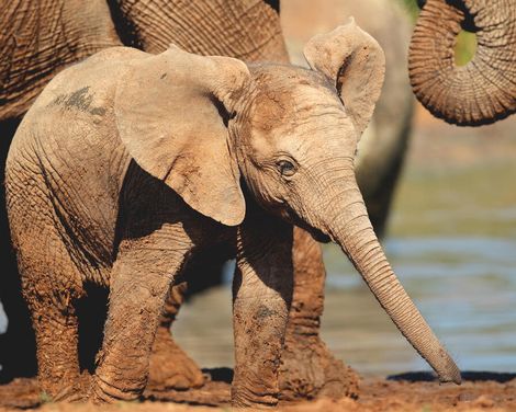 Vier Länder, unzählige Facetten zwischen Natur, Kultur und Tierwelt-0