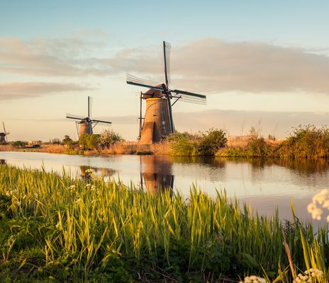 Windmühlen in Kinderdijk