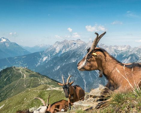 Wanderreise mit Aufenthalt im Hotel Condordia-0