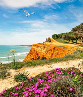 Typischen Landschaftsbild entlang der Algarve mit blühenden Blumen, steilen Klippen und dem tosenden Meer, Portugal