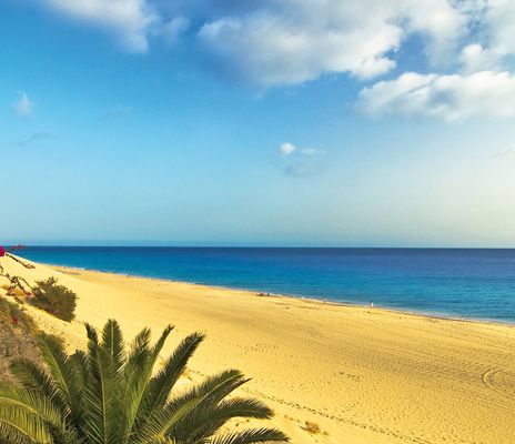 Ausblick auf Strand in Fuerteventura