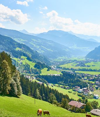 Berglandschaft in Österreich