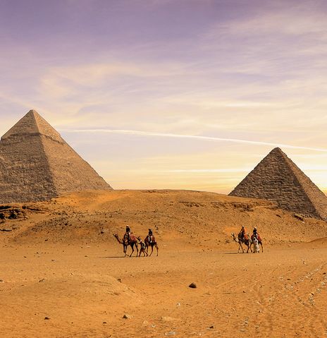 Pyramiden von Gizeh und Kamele