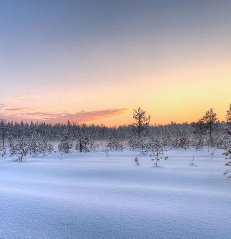 Winterlandschaft in Finnland