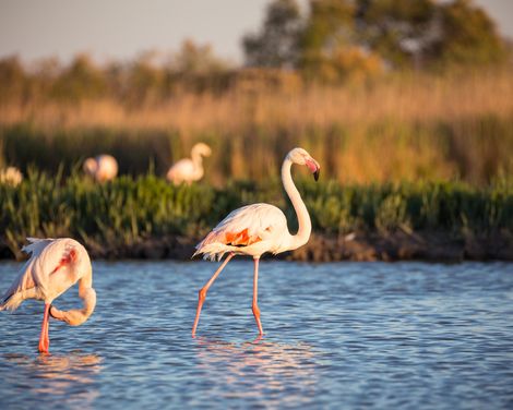 Auf den Spuren der Römer radeln-2
