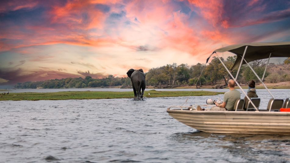 Elefanten am Flussufer bei Sonnenuntergang im Chobe-Nationalpark, Botswana