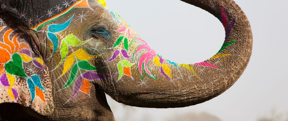 Bunter Elefant