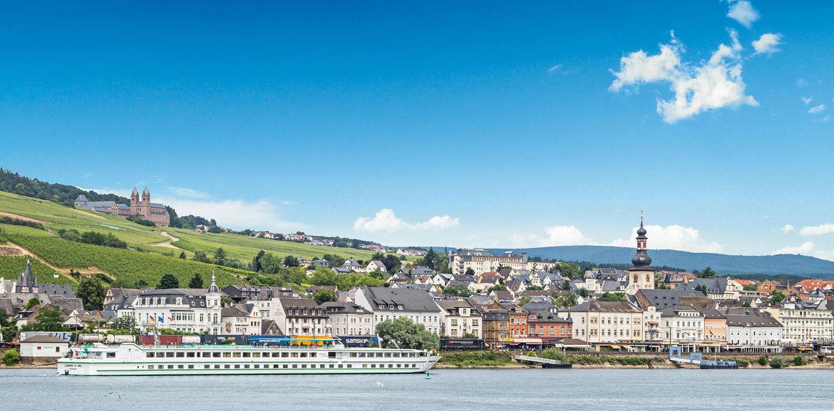 MS Leonardo da Vinci auf dem Fluss