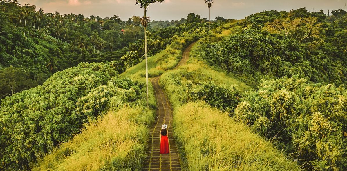 Frau in den Reisfeldern in Indonesien