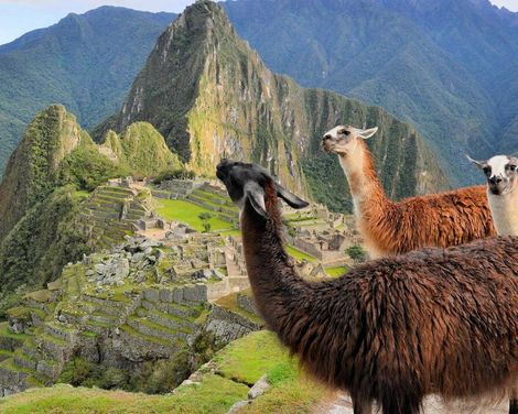 Zwischen Gipfeln, Regenwald und Wasserfällen unterwegs-0