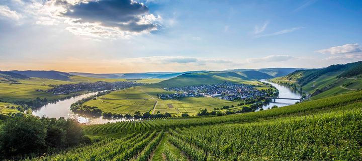 Blick auf die Mosel