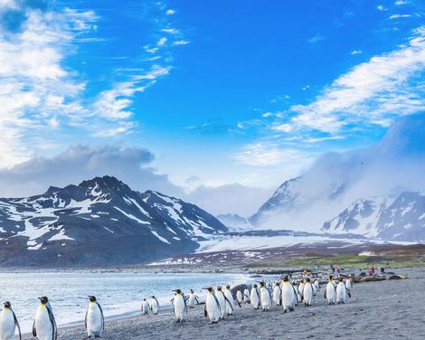 Kreuzfahrt mit der MS Oosterdam von Miami bis Buenos Aires-3