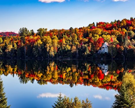 Individuelle Rundreise ab/an Toronto: von den Niagarafällen bis Montreal 