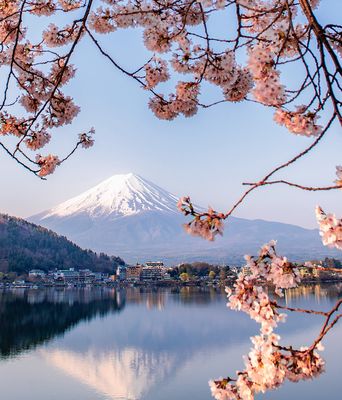 Blick auf den Fuji im Frühling