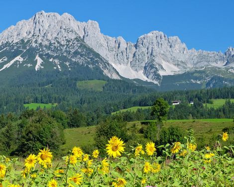 Geführte Alpenüberquerung ab/an Wilder Kaiser