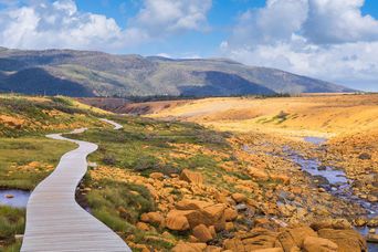 Landschaft des Gros Morne Nationalparks 