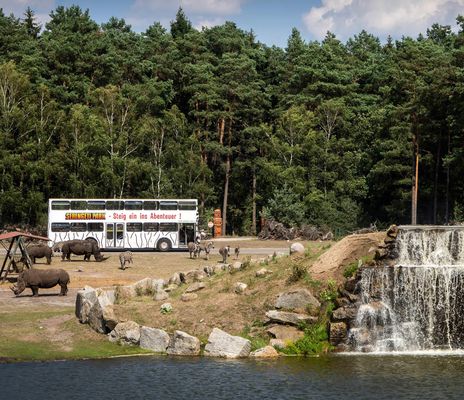 Lüneburger Heide - Hodenhagen