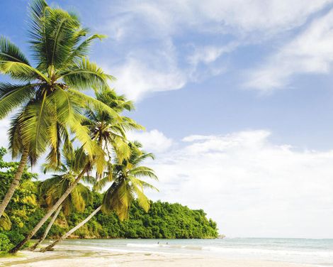 Kreuzfahrt mit MSC Virtuosa ab/an Fort-de-France-0