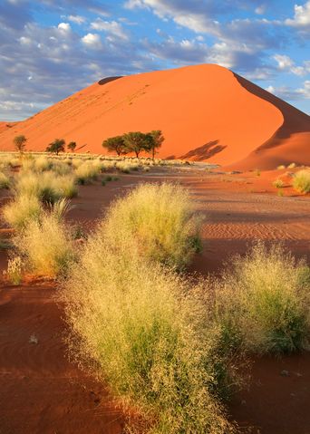 Wüste in Namibia