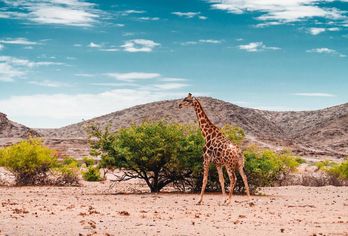 Namibia