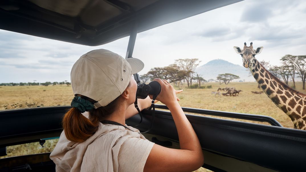 Frau beobachtet Giraffe bei Safari