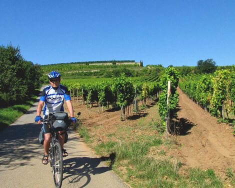 Radeln, wo Wein und Geschichte blühen-0