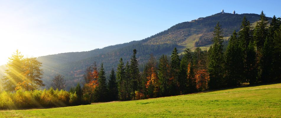 Bayerischer Wald in Deutschland