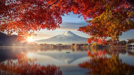 Fuji-Berg mit Morgennebel und roten Blättern am Kawaguchiko-See