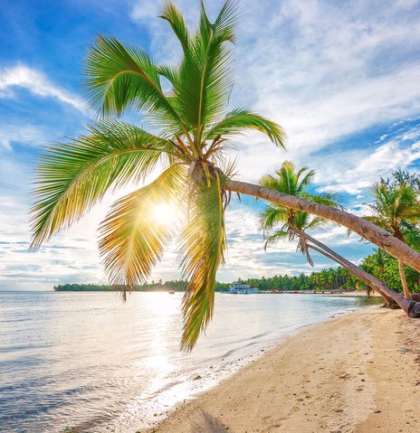Strand in der Dominikanischen Republik 