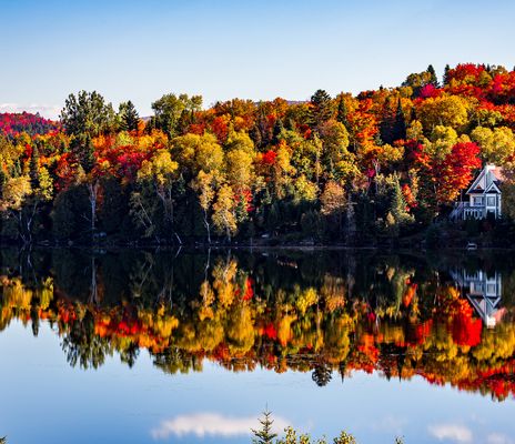 Herbstwald in Quebec mit bunten Laubbäumen und Spiegelung im See