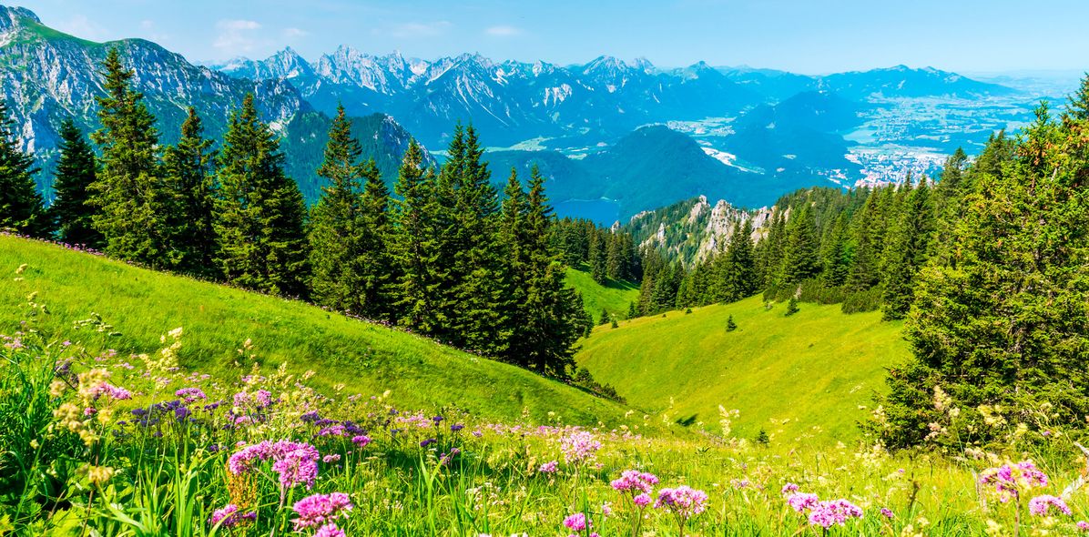 Landschaft im Allgäu