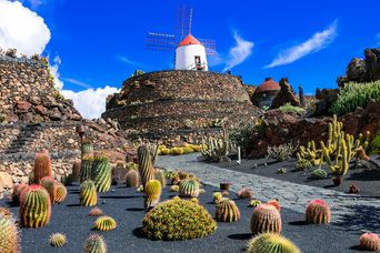 Kaktusgarten auf Lanzarote