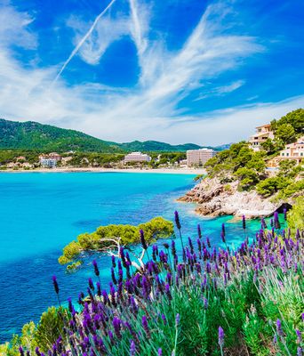 Küstenbucht mit türkisblauem Meer, felsiger Küste und lila Blüten im Vordergrund auf Mallorca