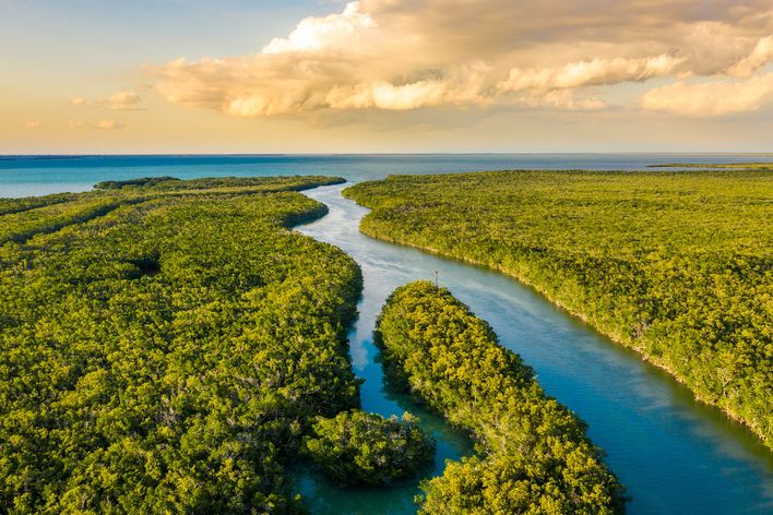 Everglades Nationalpark in den USA