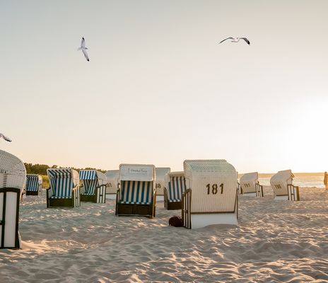 Strand Ostsee mit Strandkörben und Möwen