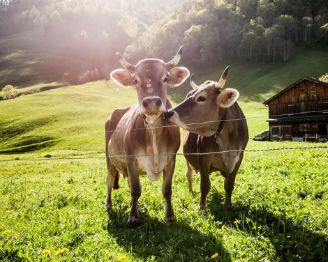 Wanderreise vom Königssee zum Hochkönig-2