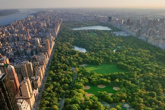 Central Park in New York City