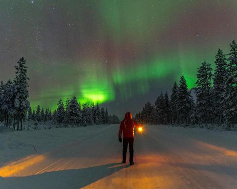 Kreuzfahrt mit MS Hamburg ab/an Kiel oder ab/an Hamburg-3