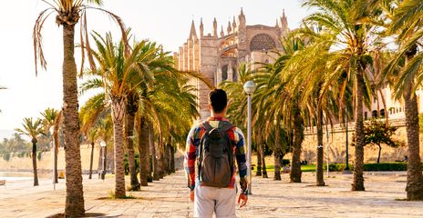 Mann mit einem Rucksack steht in einer Palmenallee mit dem Blick auf die Kathedrale von Palma de Mallorca gerichtet