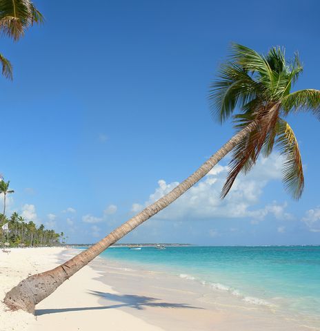 Strand mit Palme und Häusern