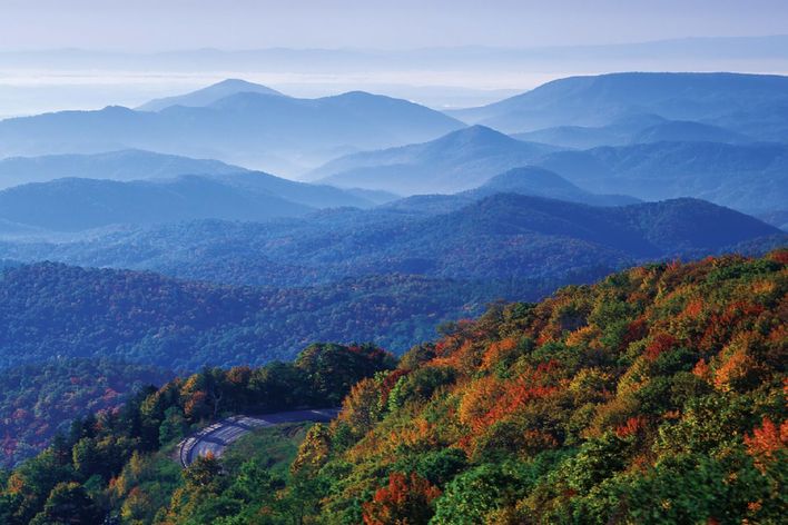 Ausblick auf die Wälder des US-Bundesstaat Virginias