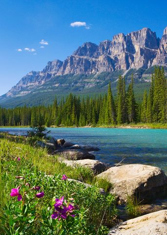 Sommerliche Landschaft im Banff Nationalpark in Kanada