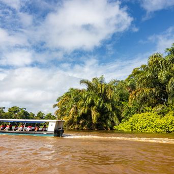Touristenboot fährt durch die Wasserkanäle des Tortuguero-Nationalparks in Costa Rica