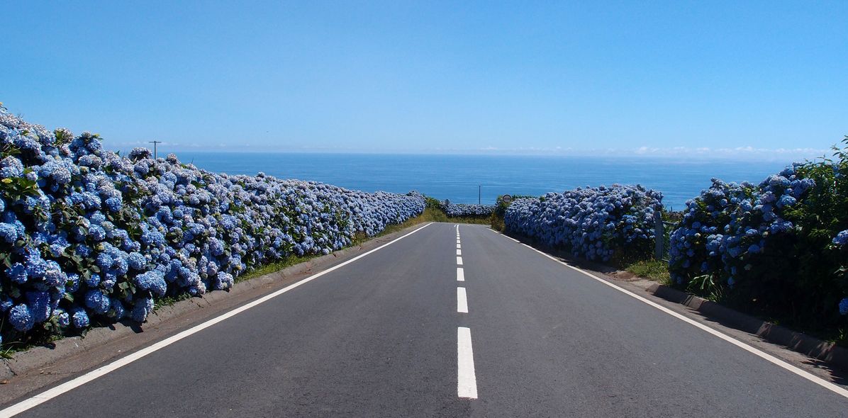 Straße auf den Azoren