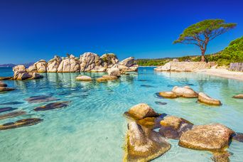 Strand von Palombaggia