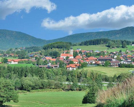 Familienurlaub im Margeritenhof in Drachselsried-0