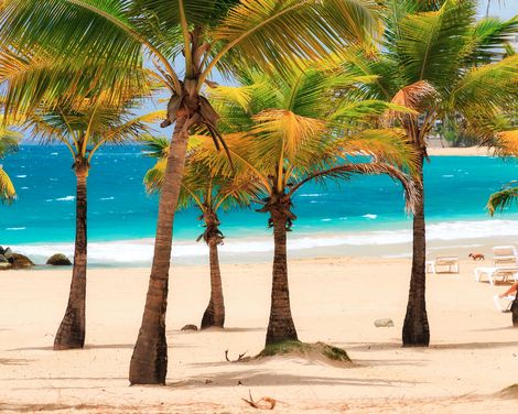 Kreuzfahrt mit MSC Divina von Barcelona nach Miami